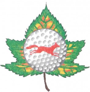 mega logo
